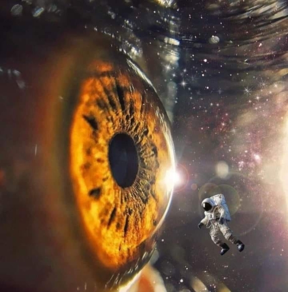 anipirgaayala